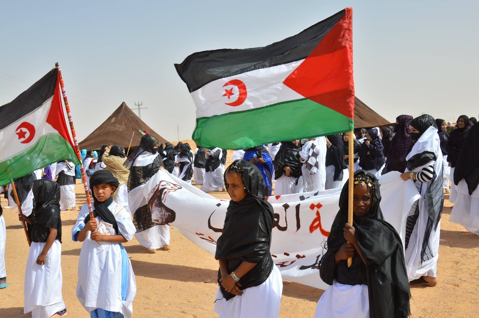الجمعية الوطنية للصحفيين الجزائريين المتضامنين مع كفاح الشعب الصحراوي: تقارب الآراء حول طرد المستعمر المغربي من الأراضي الصحراوية (فديو)
