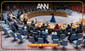 مجلس الأمن يناقش الوضع في جمهورية إفريقيا الوسطى