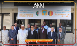 الجزائر تثبت أقدامها طاقويا في تشاد بمشروع كهربائي جديد