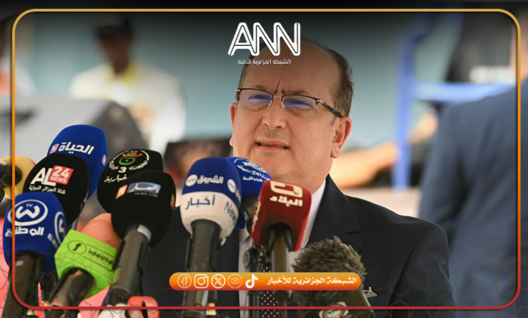الوزير الأول: التعاون بين الجزائر والنيجر دخل مرحلة جديدة