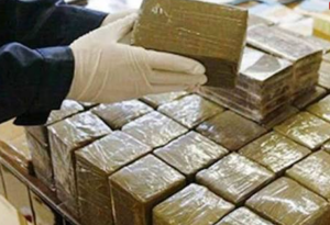 Plus de 20 kg de drogue saisis à Chlef