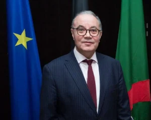 بلاني يرد على قرقاش ويفتح النار على الدور الإماراتي في المنطقة
