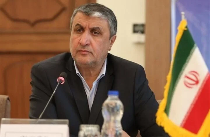 محمد إسلامي يؤكد أن بلاده بلغت مستوى عالي في التكنولوجيا النووية